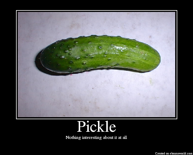 Pickle, Picture, eBaum's World. helpful non helpful. ebaumsworld.com. 
