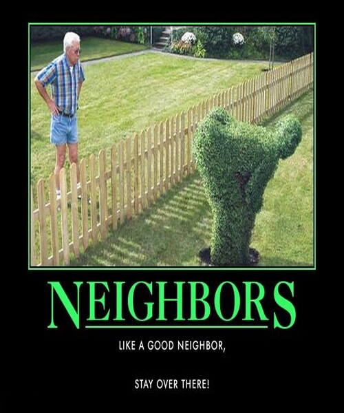 My funny neighbors, s, Memes. 