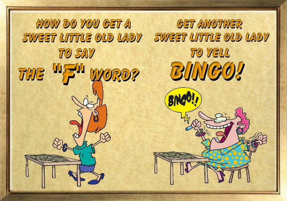 MAGNET Humor Fridge Sign Funny Sweet Old Lady Bingo, eBay. 